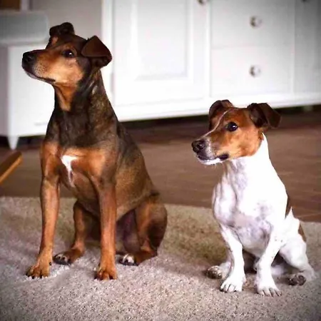 In Schmargendorf Bei * Angermunde