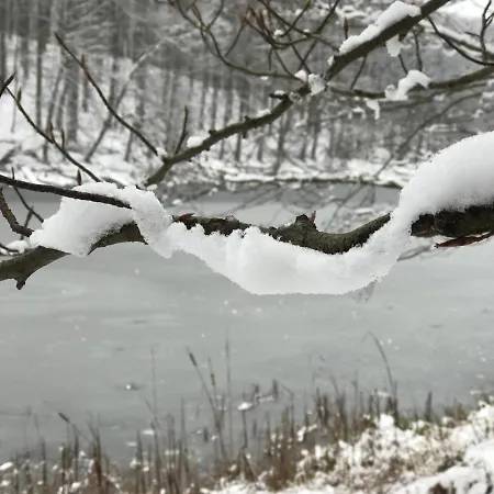 In Schmargendorf Bei