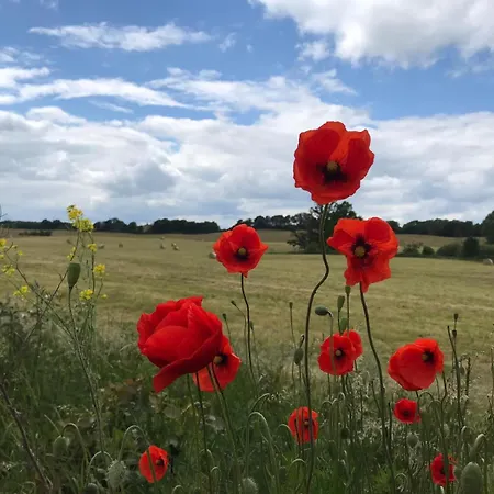 Διαμέρισμα In Schmargendorf Bei *