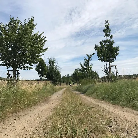 In Schmargendorf Bei Διαμέρισμα *