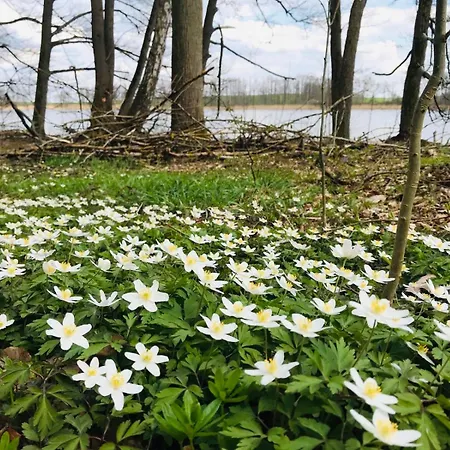 In Schmargendorf Bei Angermunde