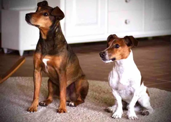 In Schmargendorf Bei * Angermunde