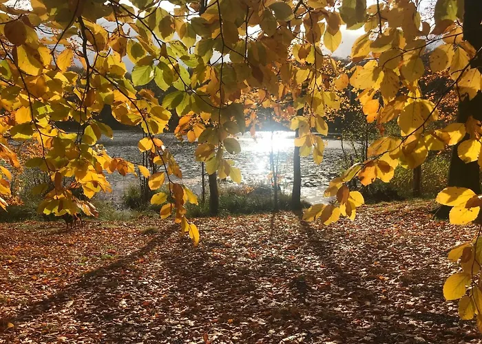 In Schmargendorf Bei *