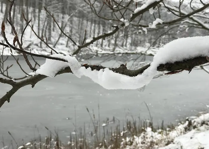 In Schmargendorf Bei