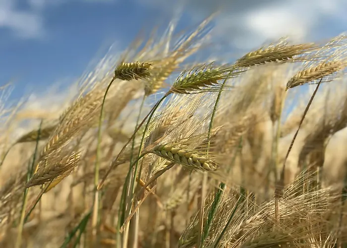 Apartamento In Schmargendorf Bei Angermunde