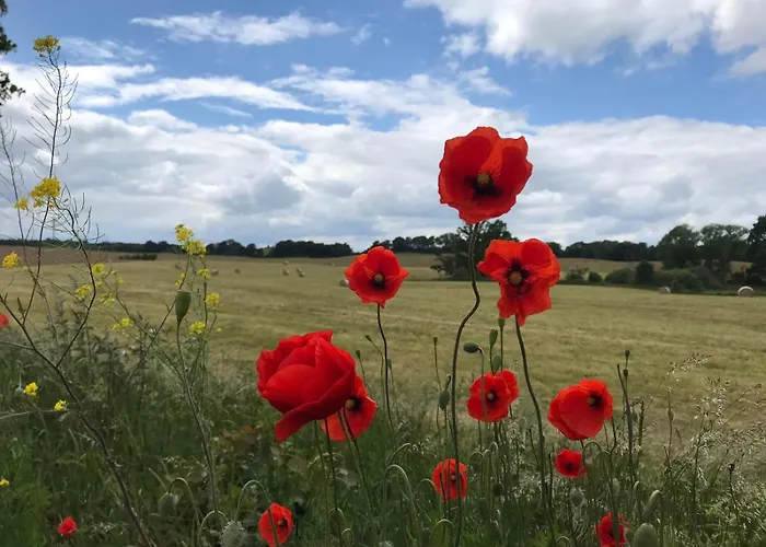 Apartamento In Schmargendorf Bei *