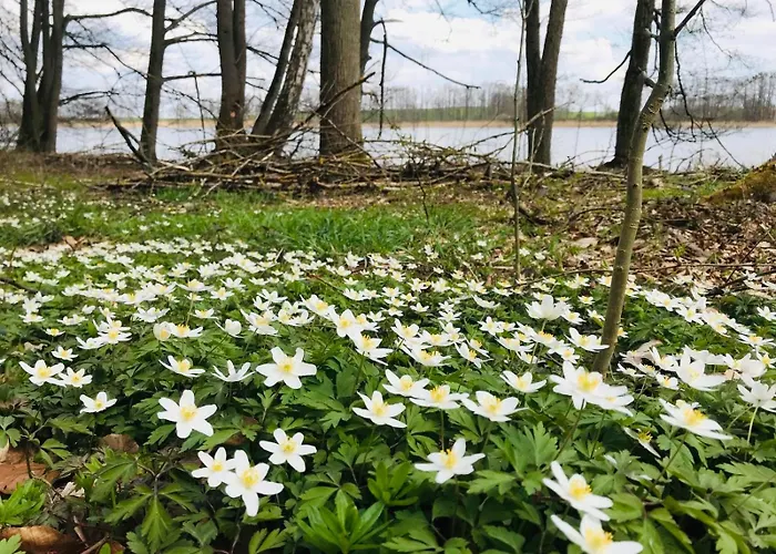 In Schmargendorf Bei Angermunde